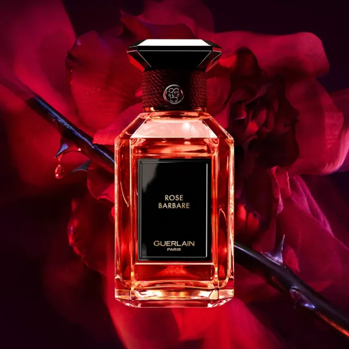 Rose Barbare