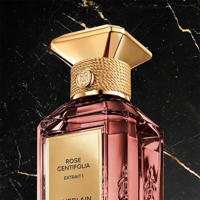 Rose Centifolia Extrait 1