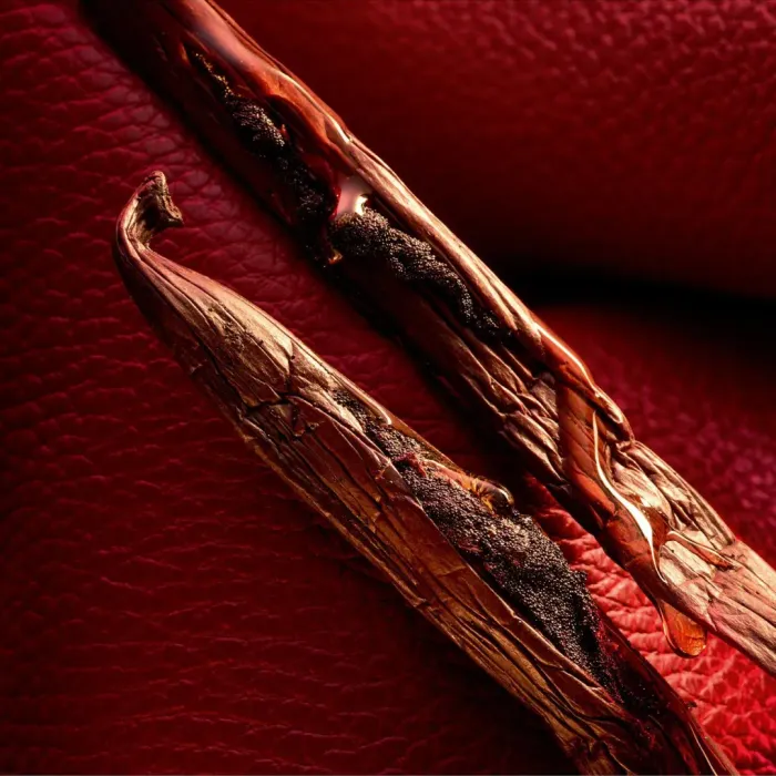 Habit Rouge Spirit