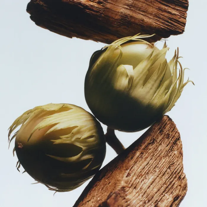 English Oak & Hazelnut Hand Cream
