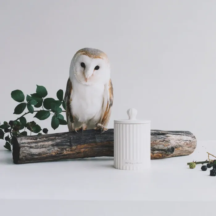 Wild Berry & Bramble Townhouse Candle