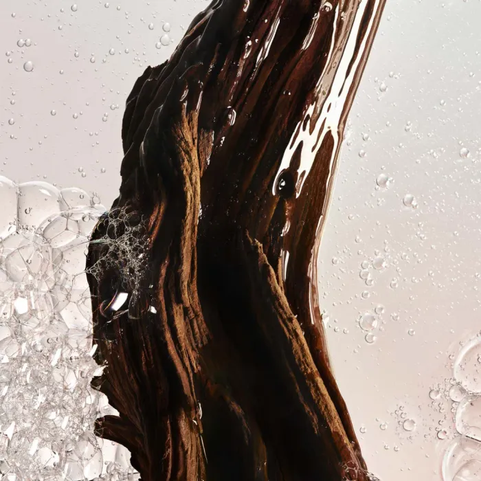 Sacred Wood Shower Gel