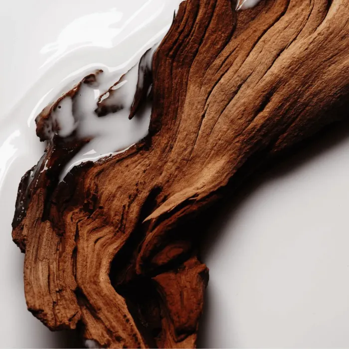 Sacred Wood Body Lotion