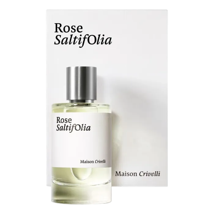 Rose SaltifOlia