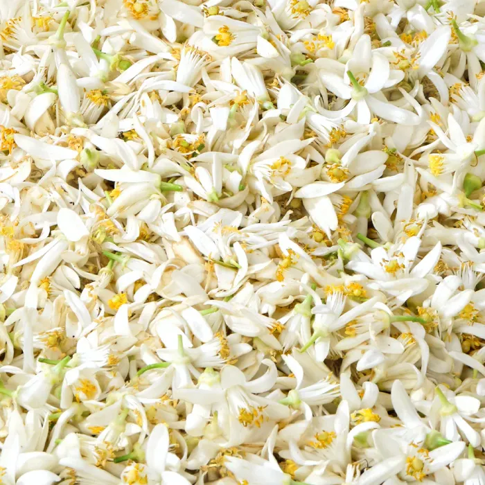 Neroli Oranger Body Wash