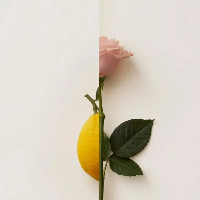 Rosa Limone