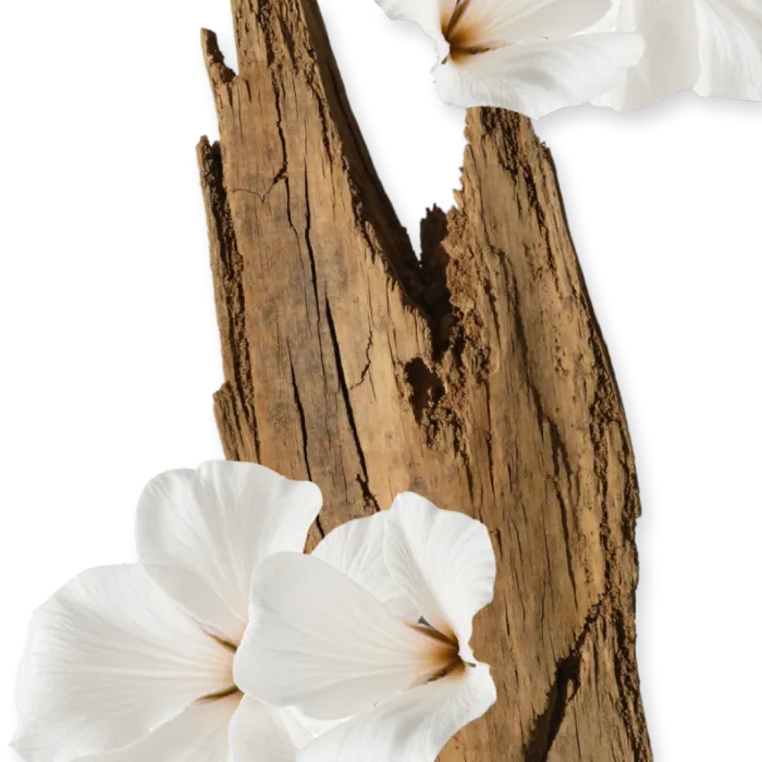 Valaya Body Cream