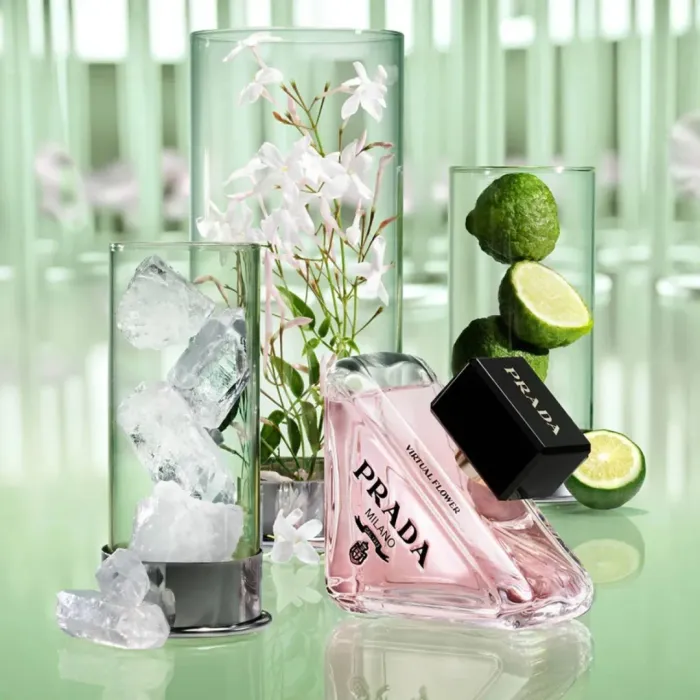 Paradoxe Virtual Flower
