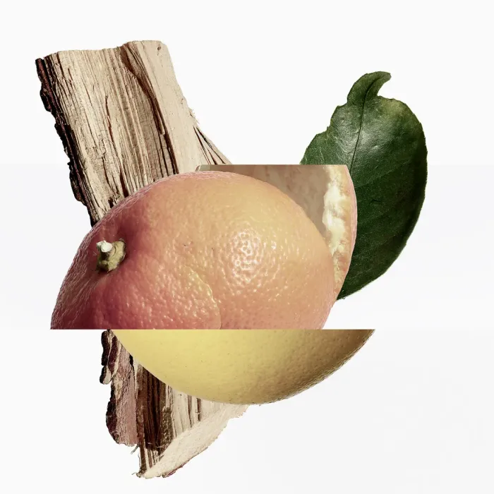 Terre d'Hermes Eau Tres Fraiche